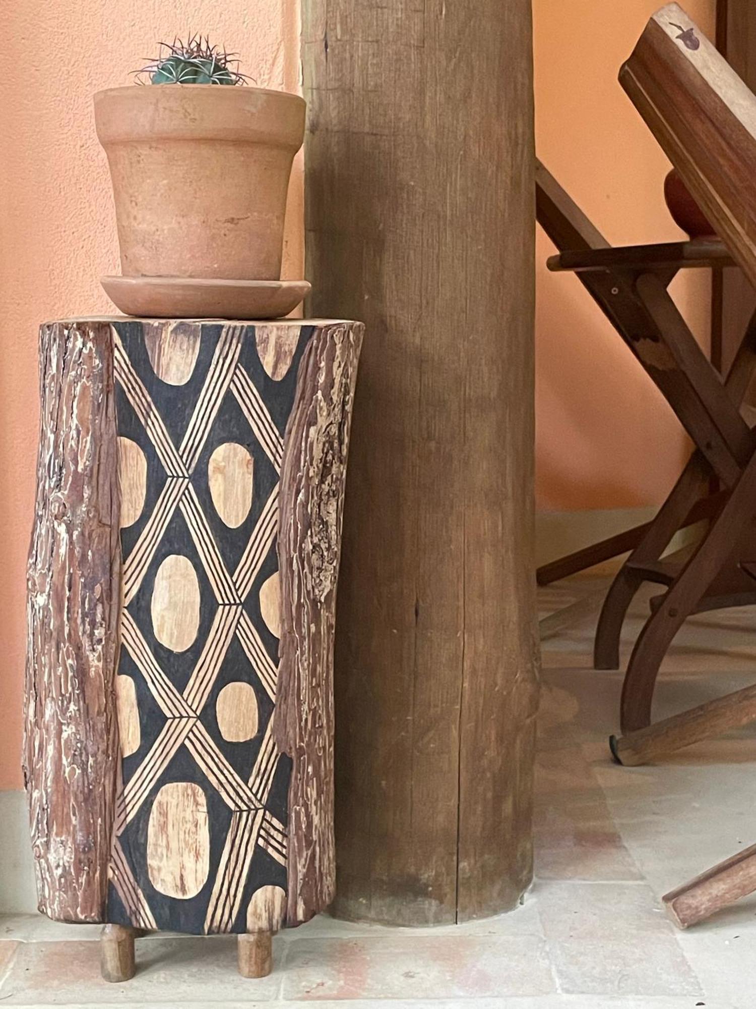 Pitanga - Arandis Marau (Bahia)