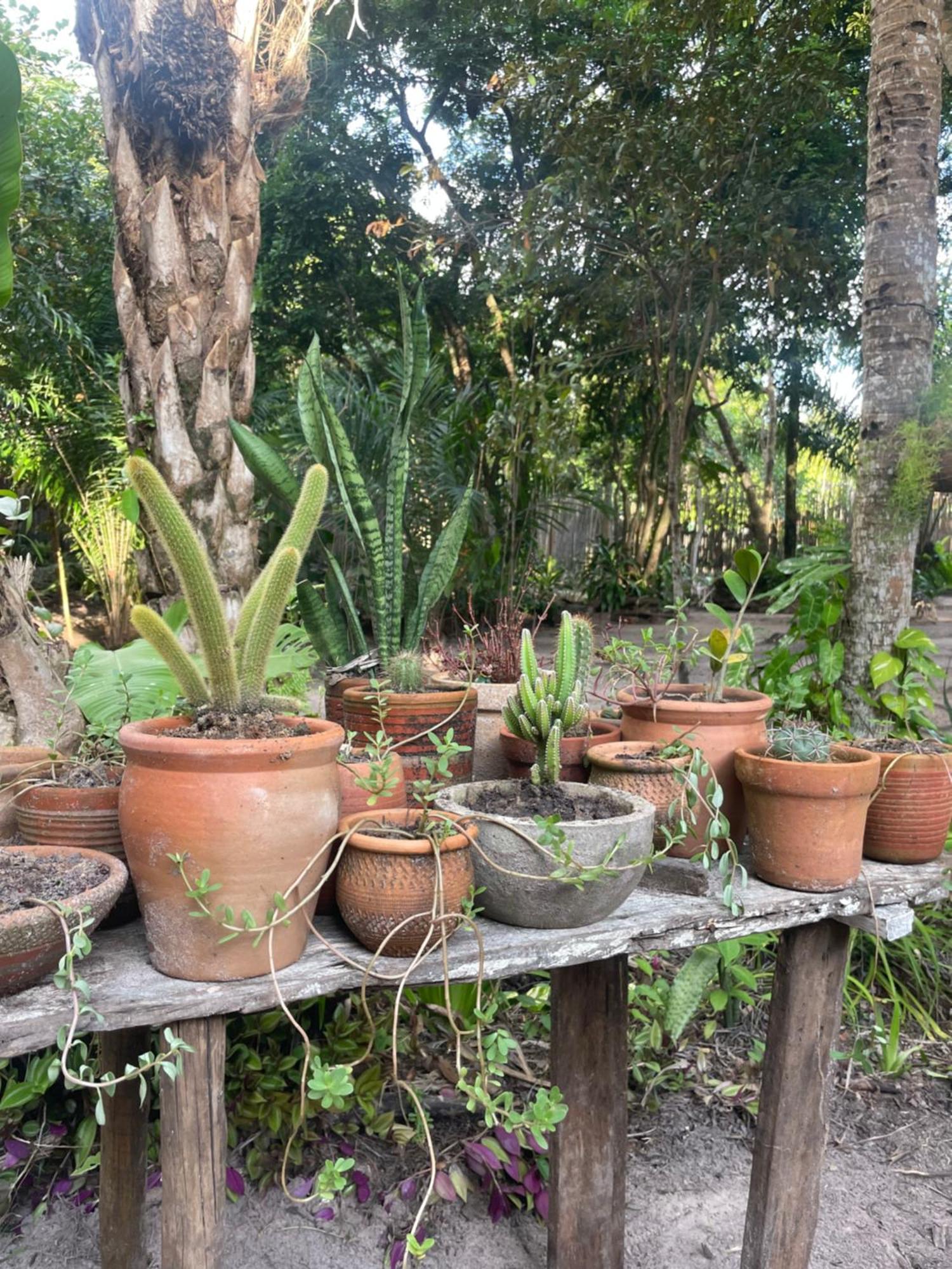 Pitanga - Arandis Casa de Férias