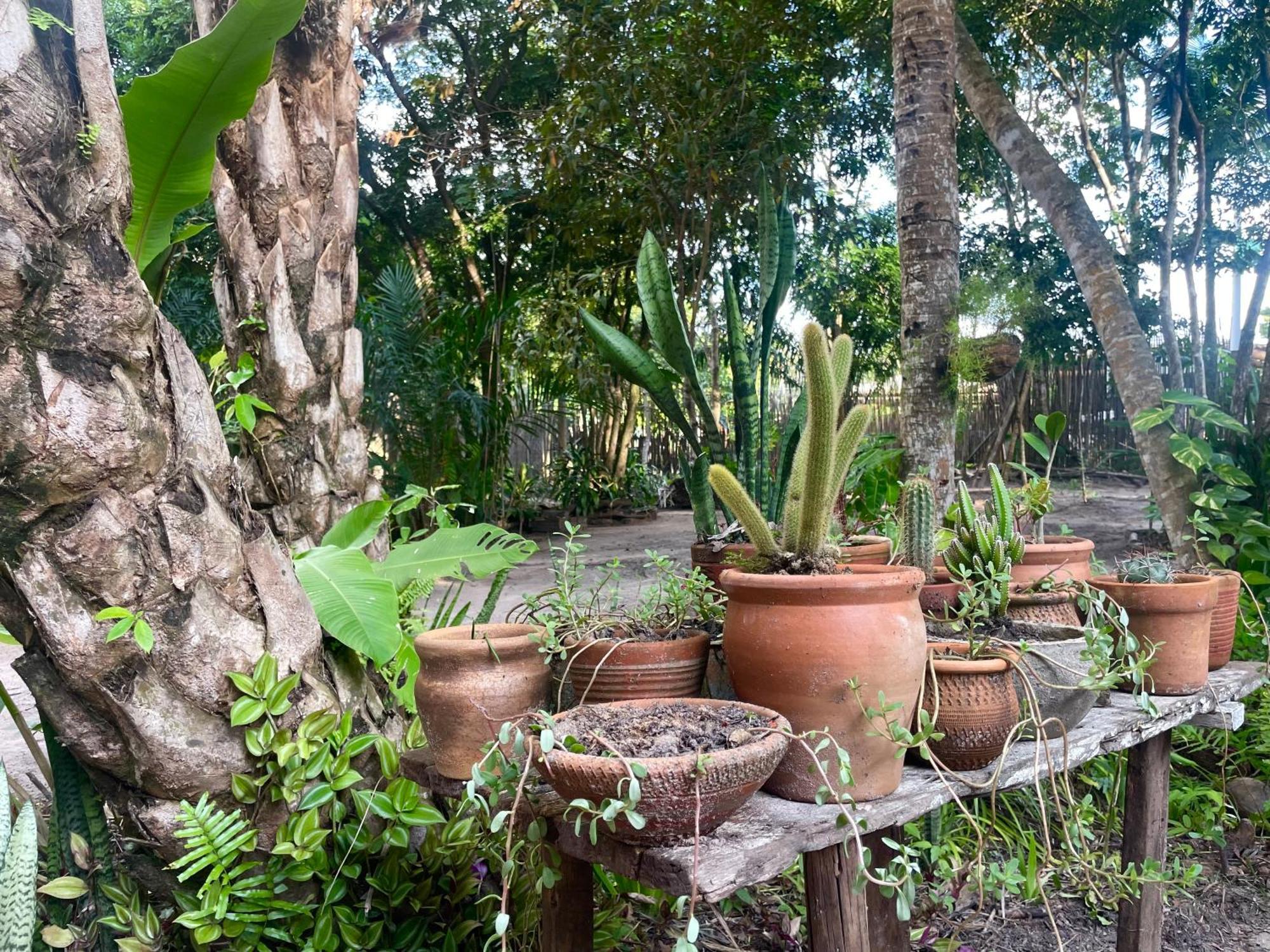 Casa de Férias Pitanga - Arandis *